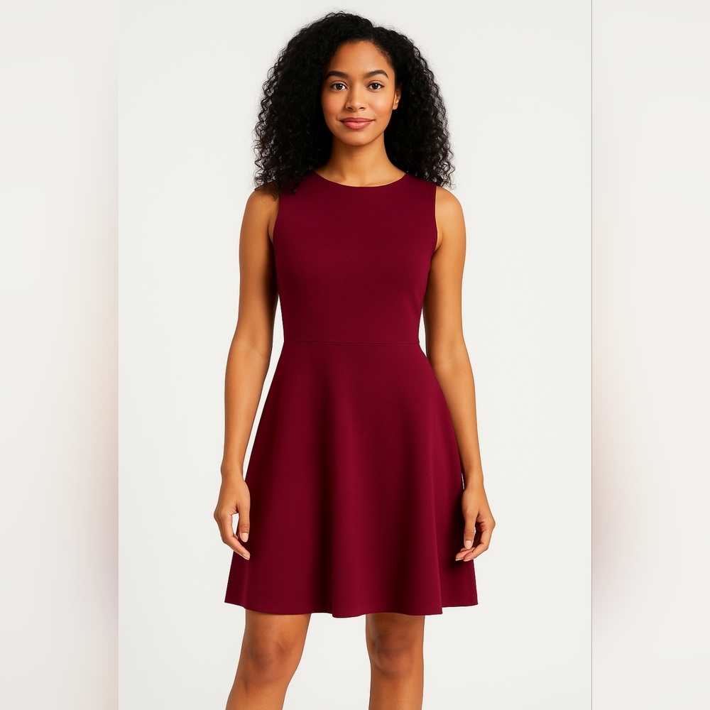 ❤️ Lark & Ro Fit and Flare Dress Small Burgundy Sleeveless